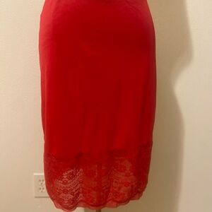 Vintage Van Raalte Slip